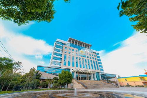 汇聚青春力量，绘就宜丰设计服务新篇章